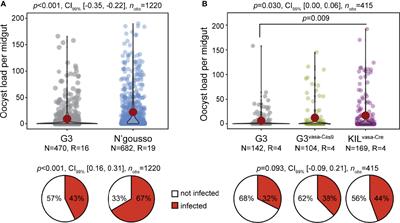 Assessment of Plasmodium falciparum Infection and Fitness of Genetically Modified Anopheles gambiae Aimed at Mosquito Population Replacement